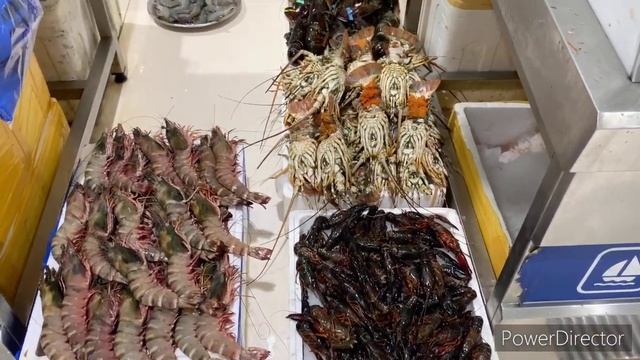 WATERFRONT FISH MARKET |DEIRA DUBAI