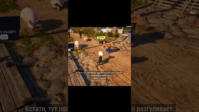 Goat Simulator 3 - бери козочку и погнали #shorts