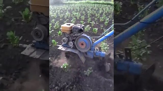 Окучник роторный для мотоблока (вместо колес)