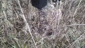 Полноповоротный прицепной мини экскаватор.