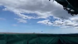 Охота на гуся. Север о.Сахалин