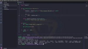 Вычисляем по IP с помощью Python. Как определить местоположение по IP.mp4