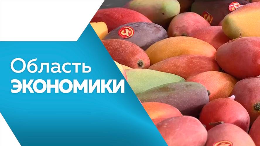 Программа"Область экономики"№ 101