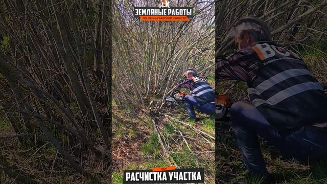Расчистка от кустов и корней | спил СПБ #вск #shortsvideo