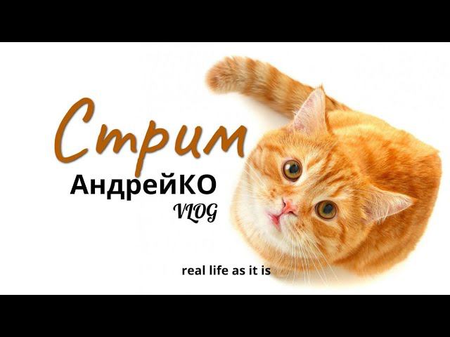 Андрей&KO Онлайн