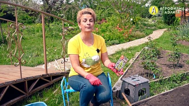 ЧТО ПОСАДИТЬ В ИЮНЕ? Обзор семян ФАСОЛИ от Наталии Петренко!