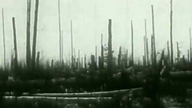 Тунгуска.
