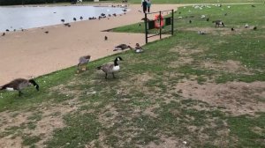 Сады Кенсингтон недвижимость купить. Лондон Англия. Kensington Gardens. London England. Europe-Hous