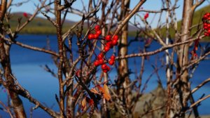 Алтай, золотая осень 2023г., ч.1