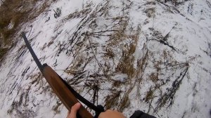 тест пороха сокол партия 10/20