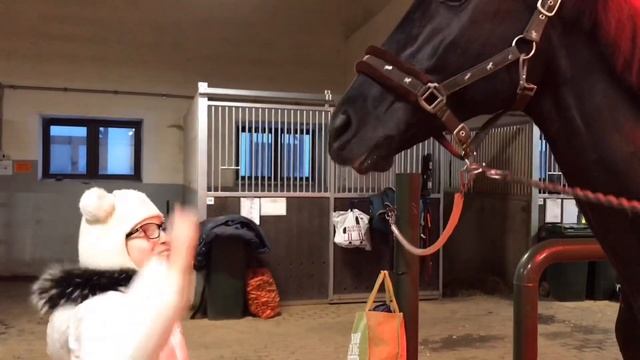 Какое лакомство любят лошади? What do horses like to eat? смотреть онлайн