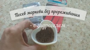 Сею морковь с гидрогелем вместо киселя! Без прореживания