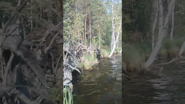 на рыбалке,поднялся ветер,сильные волны и звук природы,без музыки