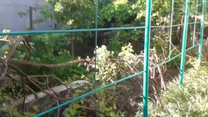 Простая и надёжная металлическая опора под виноград