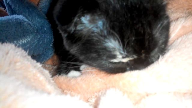 Как правильно целоваться!! смотреть онлайн