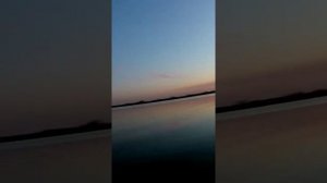 Осень первый крупный сазан на фидер с насадкой тигровый орех