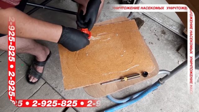 #Как избавиться от крыс ? Проверенный способ работает 100 %. #СанконтрольКрасноярск. смотреть онлайн