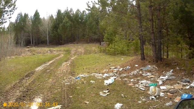 Майский прохват по лесу смотреть онлайн