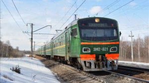ТЧПРИГ-31