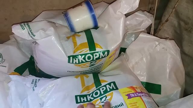 Бройлеры как бизнес, выращивание бройлеров в домашних условия