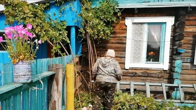 Хмели-сунели #Сад #Садогород #Садовыеработы