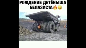 Роды белаза