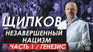НЕЗАВЕРШЕННЫЙ НАЦИЗМ. ЧАСТЬ 1 / ГЕНЕЗИС. ЩИПКОВ № 298