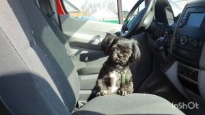 переезд из Германии в Россию.  Как мы провели день. 1 часть.