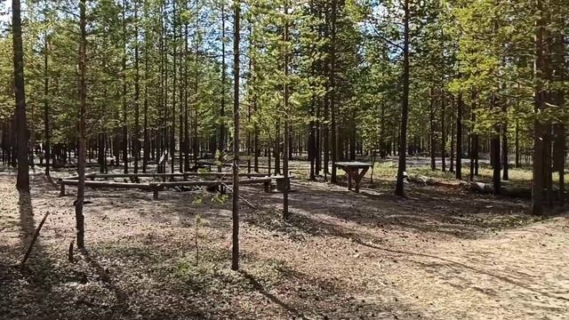 ?ШАШЛЫК НА ПРИРОДЕ.?МЕДВЕДЕЙ РАЗБУДИЛИ?