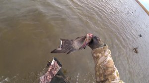 Закрыл сезон охоты на утку