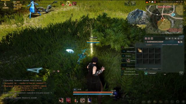 Решил посмотреть на Black Desert смотреть онлайн