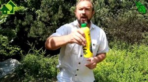 НАДОЕЛ ХЛОРОЗ на МАЛИНЕ, ГОРТЕНЗИЯХ и других? Вот простое решение. Воспользуйтесь им обязательно!