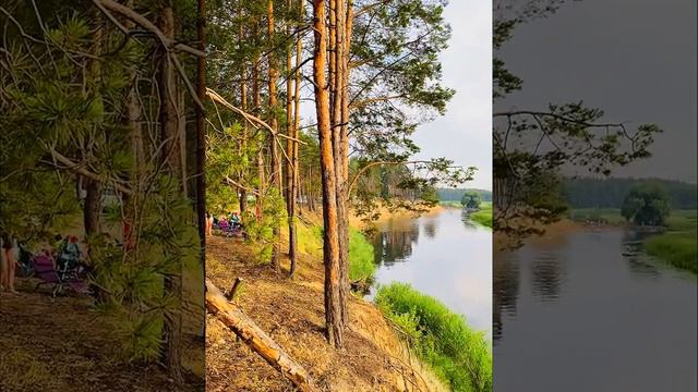 🌲Карамышево 🏞Липецк 🌊