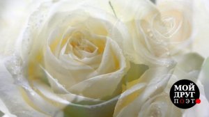 Борис Пастернак - Любить иных, тежелый крест  |  Борис Пастернак стихи