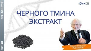 Черный Тмин, его уникальные свойства и влияние на здоровье человека. В.А. Дадали