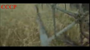 Жизнь в СССР/Совхозы и колхозы в Советском Союзе/ 1958 /Ностальгия/Как это было/