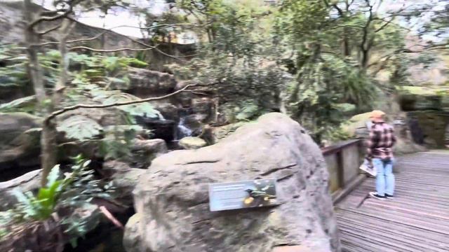 Taronga Zoo Sydney, Australia. смотреть онлайн