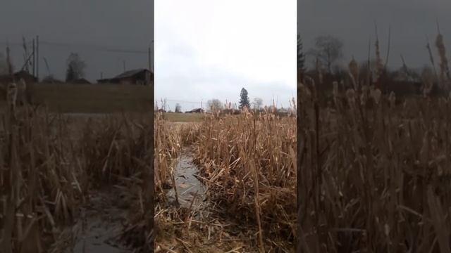 В Гостях у сказки??? смотреть онлайн