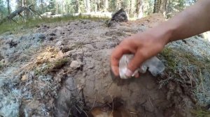 Nokta Impakt против Fisher F75 SE Тест на глубину Мелкие цели