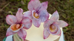 Вафельная орхидея - Я - ТОРТодел!