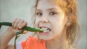 Рассказ детям 5-6 лет о луке