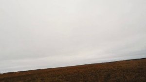 ОХОТА НА КАЗАРКУ☆☆☆ЗАПОЛЯРЬЕ