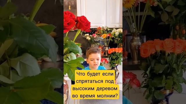 Почему нельзя стоять под высоким деревом во время грозы и молнии? #обж #правилажизни #гроза #молния