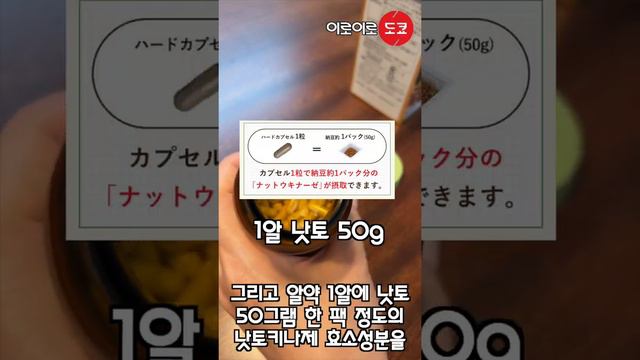 낫토 의 효소 응축 건강 식품 노구치 의학연구소 낫또키나제