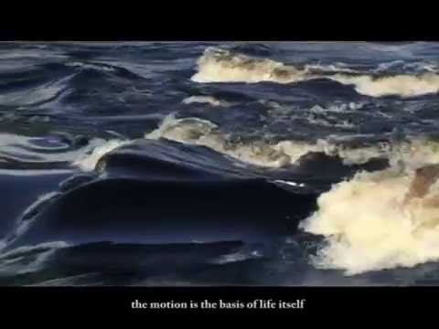 Фильм о Клинике "Кивач". Очищение организма на клеточном уровне смотреть онлайн