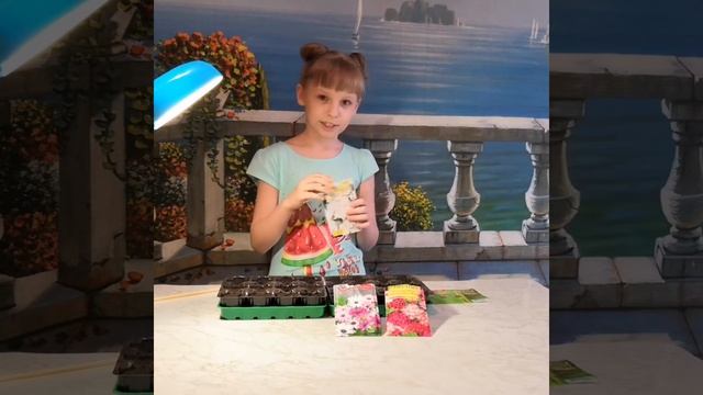 Выращивание рассады для школьной клумбы смотреть онлайн