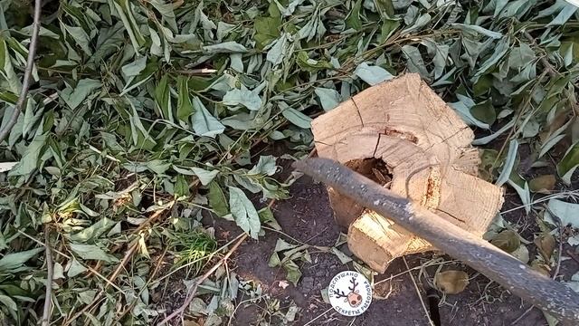 ЛУЧШИЙ МАЧЕТЕ ЗА СВОИ ДЕНЬГИ ? ЧЕСНЫЙ ОБЗОР МАЧЕТЕ TRUPER ? ПЕРЕДЕЛКА ПОД РУКУ