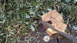 ЛУЧШИЙ МАЧЕТЕ ЗА СВОИ ДЕНЬГИ ? ЧЕСНЫЙ ОБЗОР МАЧЕТЕ TRUPER ? ПЕРЕДЕЛКА ПОД РУКУ