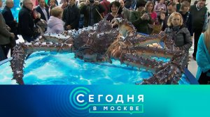«Сегодня в Москве»: 16 ноября 2023 года