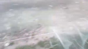 рыболовный фитиль